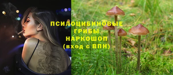 ECSTASY Осинники