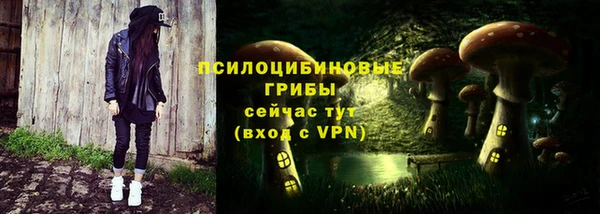 ECSTASY Осинники