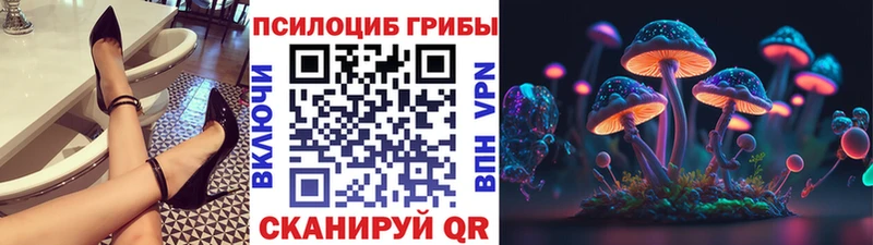 Псилоцибиновые грибы Cubensis  где можно купить наркотик  Белоозёрский 